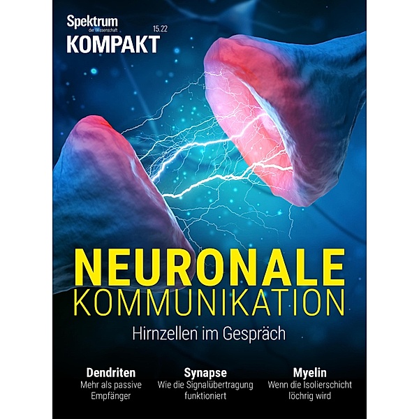 Spektrum Kompakt - Neuronale Kommunikation / Spektrum Kompakt, Spektrum der Wissenschaft Verlagsgesellschaft