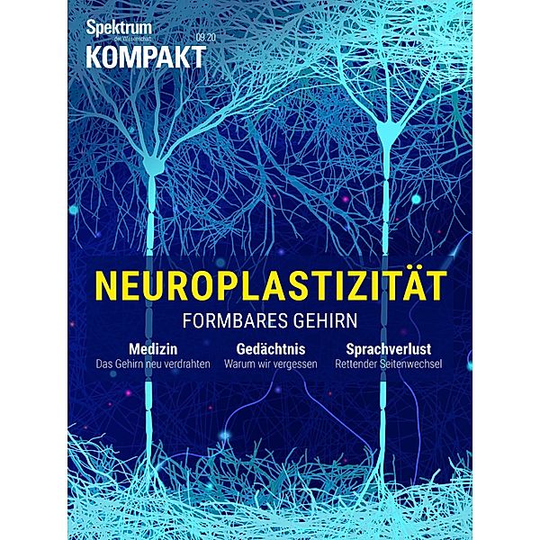 Spektrum Kompakt - Neuroplastizität / Spektrum Kompakt, Spektrum der Wissenschaft Verlagsgesellschaft