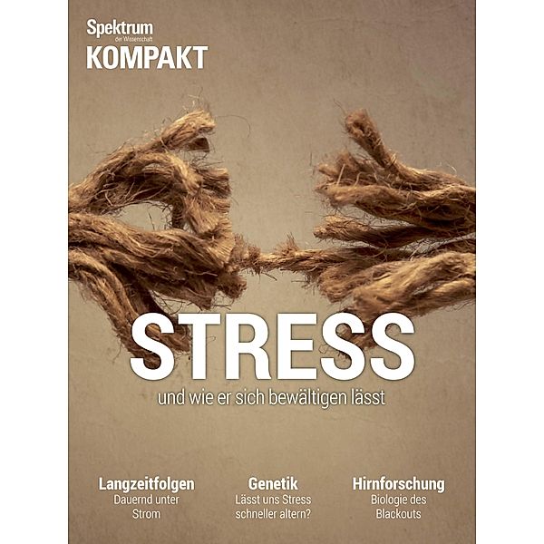 Spektrum Kompakt - Stress / Spektrum Kompakt