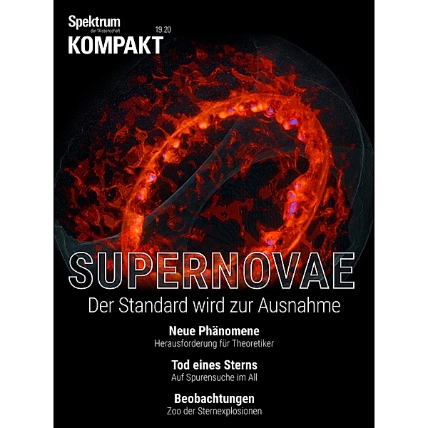 Spektrum Kompakt - Supernovae / Spektrum Kompakt, Spektrum der Wissenschaft