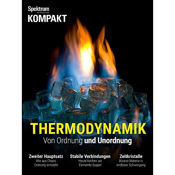 Spektrum Kompakt - Thermodynamik / Spektrum Kompakt, Spektrum der Wissenschaft