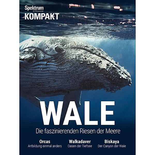 Spektrum Kompakt - Wale / Spektrum Kompakt