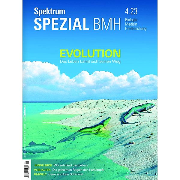 Spektrum Spezial BMH - Evolution