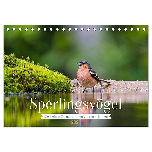 Sperlingsvögel - Die kleinen Sänger mit den großen Stimmen (Tischkalender 2024 DIN A5 quer), CALVENDO Monatskalender, Arne Wünsche