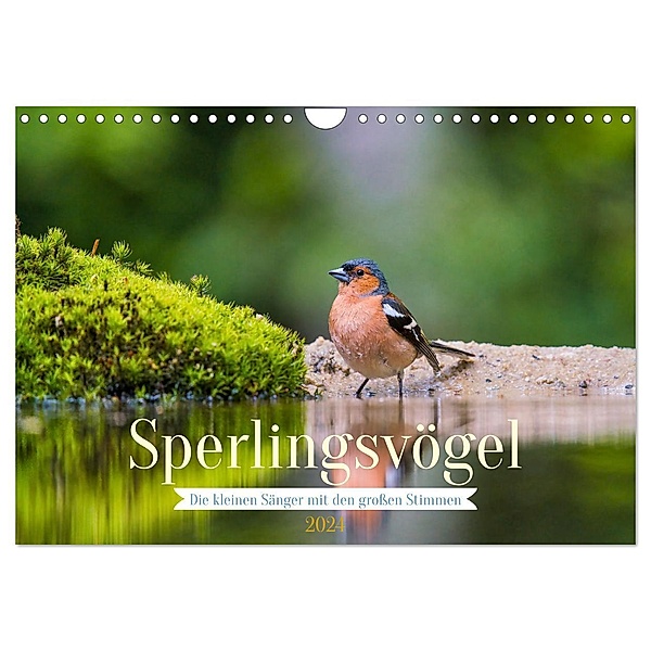 Sperlingsvögel - Die kleinen Sänger mit den grossen Stimmen (Wandkalender 2024 DIN A4 quer), CALVENDO Monatskalender, Arne Wünsche
