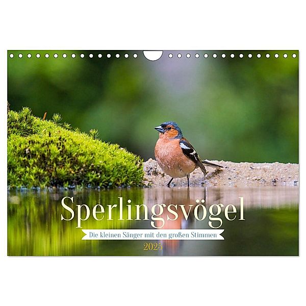 Sperlingsvögel - Die kleinen Sänger mit den großen Stimmen (Wandkalender 2025 DIN A4 quer), CALVENDO Monatskalender, Calvendo, Arne Wünsche