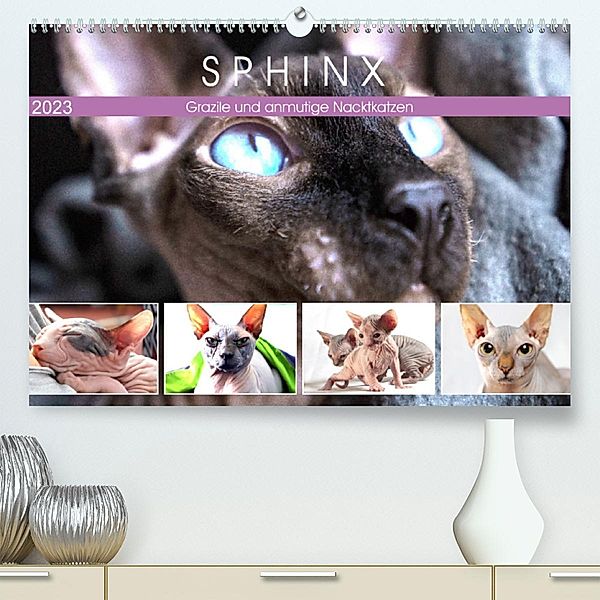 Sphinx. Grazile und anmutige Nacktkatzen (Premium, hochwertiger DIN A2 Wandkalender 2023, Kunstdruck in Hochglanz), Rose Hurley