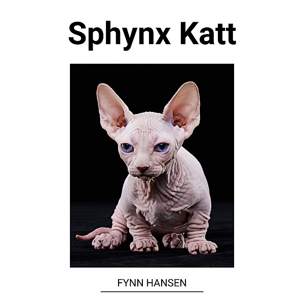 Sphynx Katt, Fynn Hansen