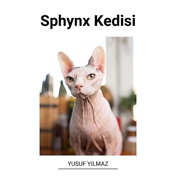 Sphynx Kedisi, Yusuf Yilmaz