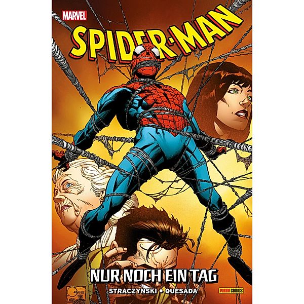 SPIDER-MAN - Nur Noch Ein Tag / SPIDER-MAN, J. Michael Straczynski