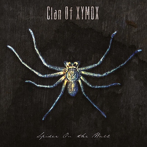 Spider On The Wall, Clan Of Xymox