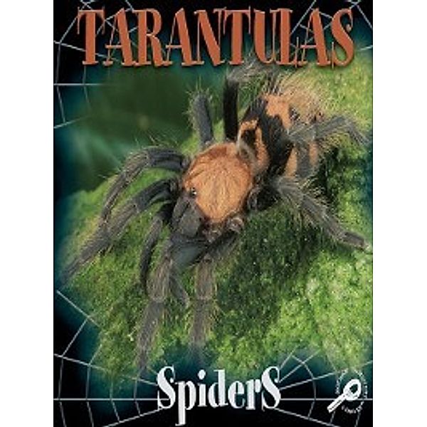 Spiders Discovery Library: Tarantulas, Jason Cooper