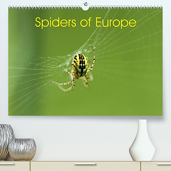 Spiders of Europe (Premium, hochwertiger DIN A2 Wandkalender 2023, Kunstdruck in Hochglanz), Otto Schäfer