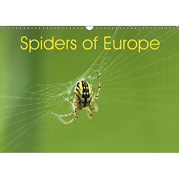 Spiders of Europe (Wall Calendar 2017 DIN A3 Landscape), Otto Schäfer