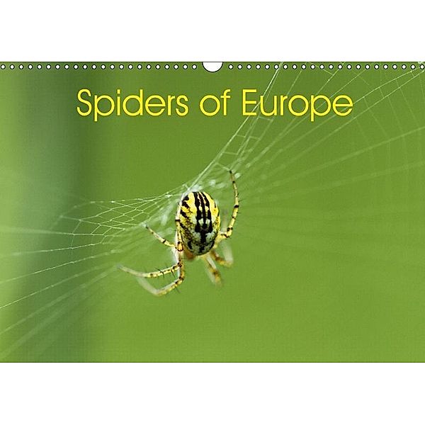 Spiders of Europe (Wall Calendar 2018 DIN A3 Landscape), Otto Schäfer