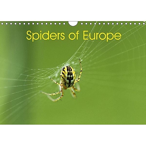 Spiders of Europe (Wall Calendar 2018 DIN A4 Landscape), Otto Schäfer