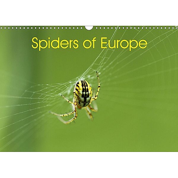 Spiders of Europe (Wall Calendar 2021 DIN A3 Landscape), Otto Schäfer