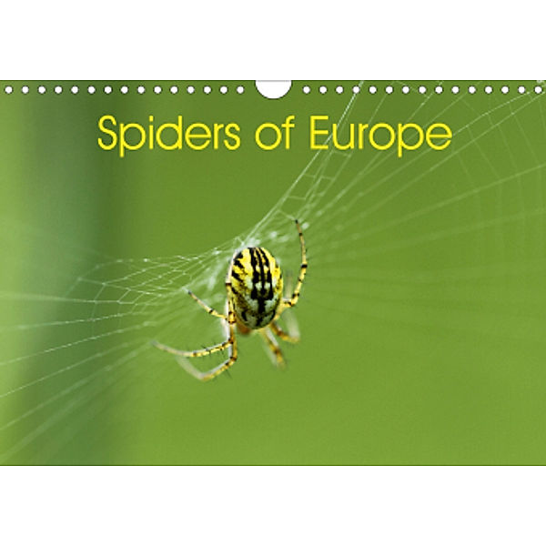 Spiders of Europe (Wall Calendar 2021 DIN A4 Landscape), Otto Schäfer