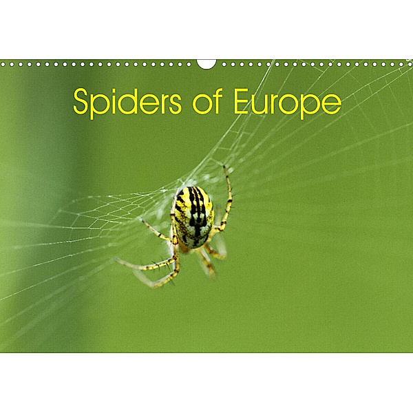 Spiders of Europe (Wall Calendar 2023 DIN A3 Landscape), Otto Schäfer