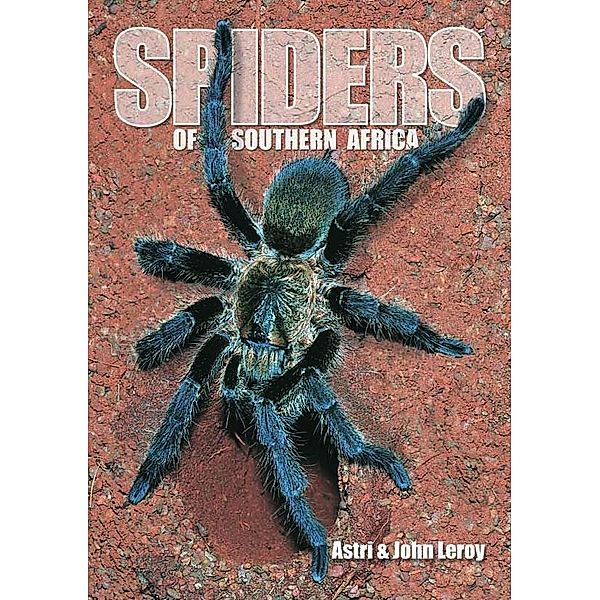 Spiders of Southern Africa, Astri Leroy