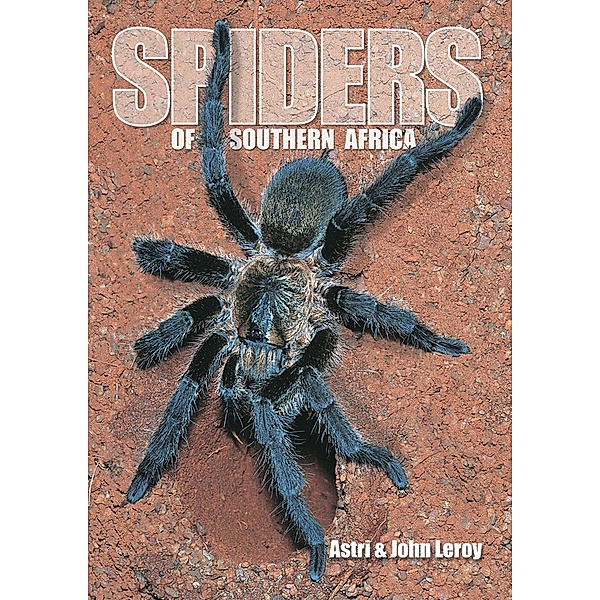 Spiders of Southern Africa, Astri Leroy