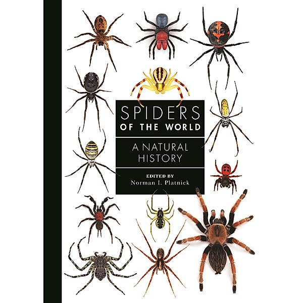 Spiders of the World / A Guide to Every Family Bd.2, Norman I. Platnick