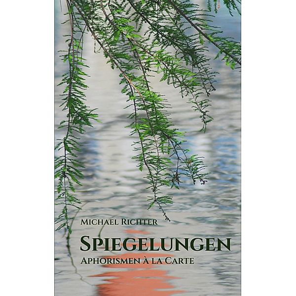 Spiegelungen, Michael Richter