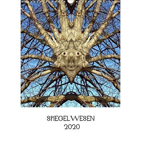 SPIEGELWESEN (Wandkalender 2020 DIN A3 hoch), Dieter Braun