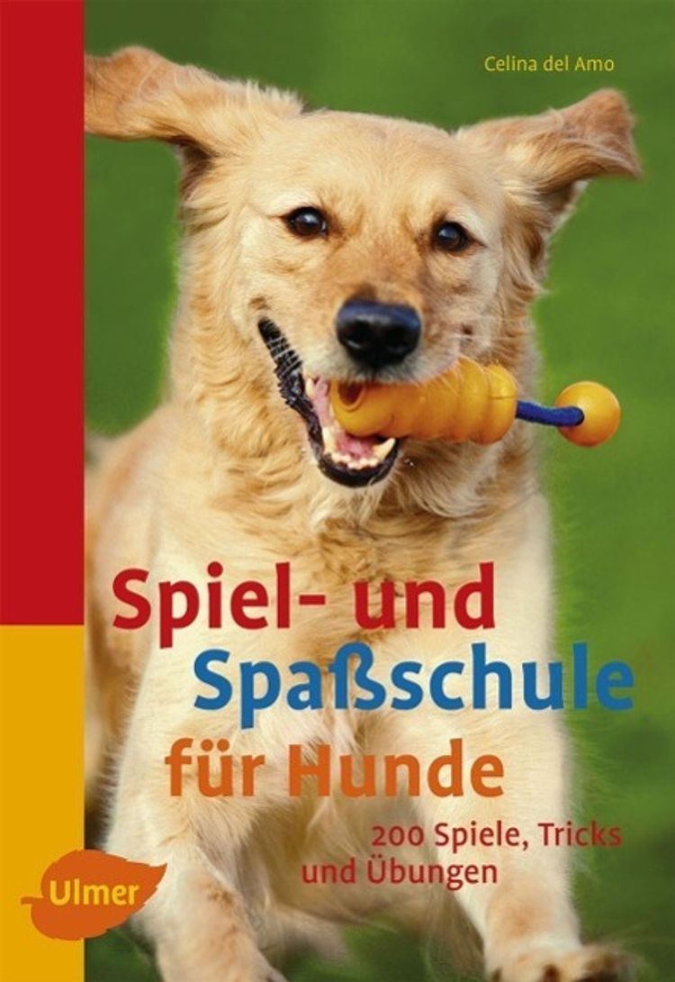 Spiel- und Spaßschule für Hunde Buch versandkostenfrei bei Weltbild.de