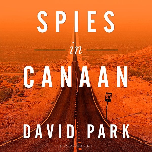 Spies in Canaan, David Park