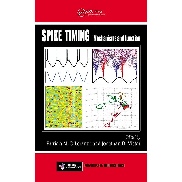 Spike Timing