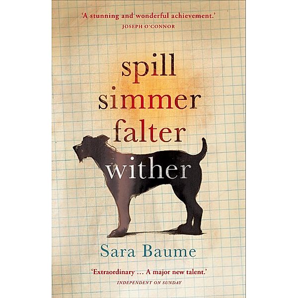 Spill Simmer Falter Wither, Sara Baume