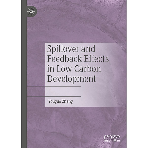 Spillover and Feedback Effects in Low Carbon Development, Youguo Zhang