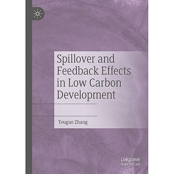 Spillover and Feedback Effects in Low Carbon Development, Youguo Zhang