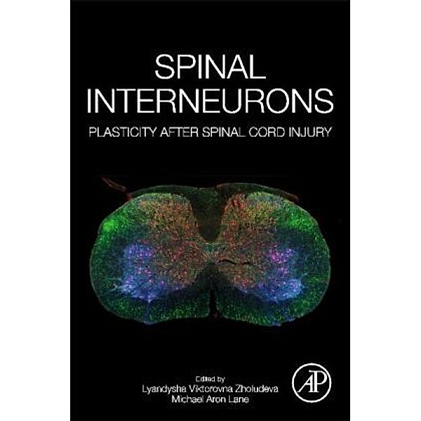 Spinal Interneurons