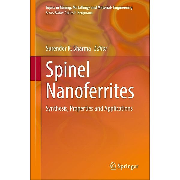 Spinel Nanoferrites / Topics in Mining, Metallurgy and Materials Engineering