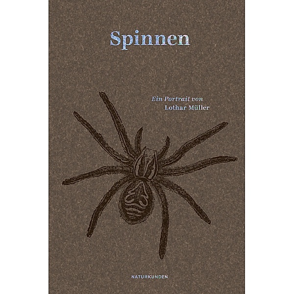 Spinnen, Lothar Müller