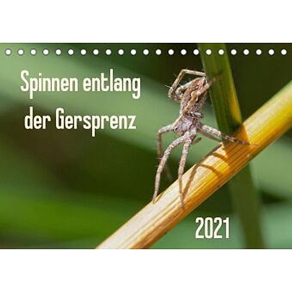 Spinnen entlang der Gersprenz (Tischkalender 2021 DIN A5 quer), Dany´s Blickwinkel