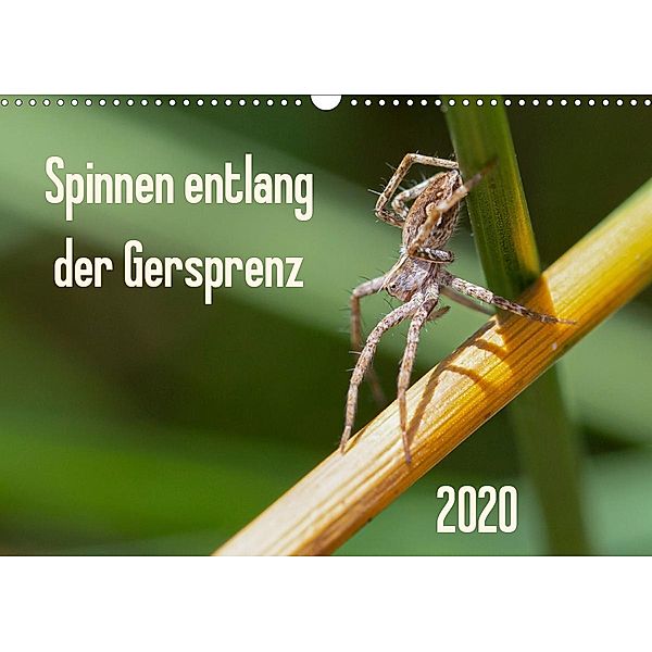 Spinnen entlang der Gersprenz (Wandkalender 2020 DIN A3 quer), Dany s Blickwinkel