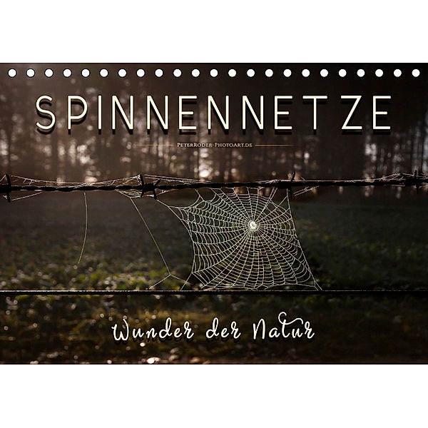 Spinnennetze - Wunder der Natur (Tischkalender 2019 DIN A5 quer), Peter Roder