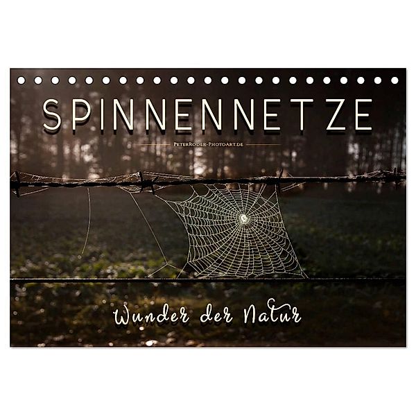 Spinnennetze - Wunder der Natur (Tischkalender 2024 DIN A5 quer), CALVENDO Monatskalender, Peter Roder