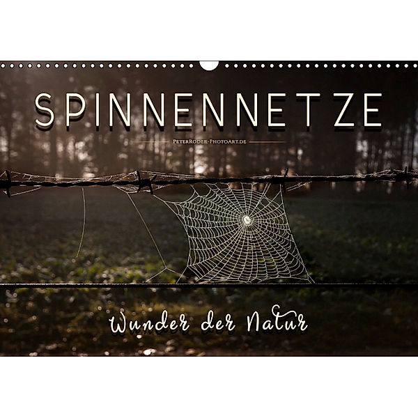 Spinnennetze - Wunder der Natur (Wandkalender 2019 DIN A3 quer), Peter Roder