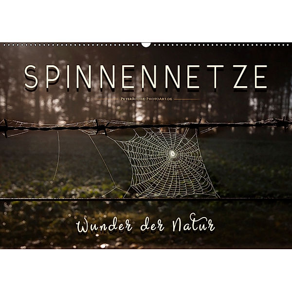 Spinnennetze - Wunder der Natur (Wandkalender 2019 DIN A2 quer), Peter Roder