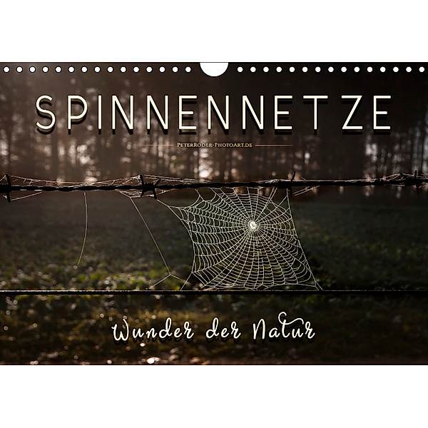 Spinnennetze - Wunder der Natur (Wandkalender 2019 DIN A4 quer), Peter Roder