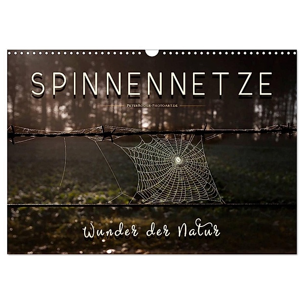 Spinnennetze - Wunder der Natur (Wandkalender 2024 DIN A3 quer), CALVENDO Monatskalender, Peter Roder