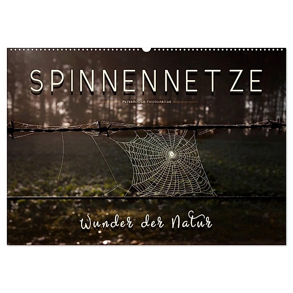 Spinnennetze - Wunder der Natur (Wandkalender 2024 DIN A2 quer), CALVENDO Monatskalender, Peter Roder
