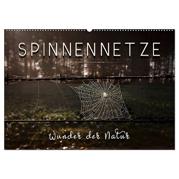 Spinnennetze - Wunder der Natur (Wandkalender 2025 DIN A2 quer), CALVENDO Monatskalender, Calvendo, Peter Roder