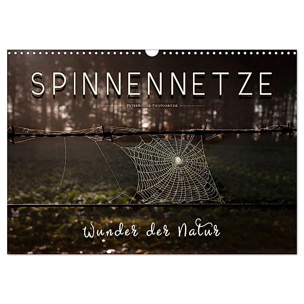 Spinnennetze - Wunder der Natur (Wandkalender 2025 DIN A3 quer), CALVENDO Monatskalender, Calvendo, Peter Roder