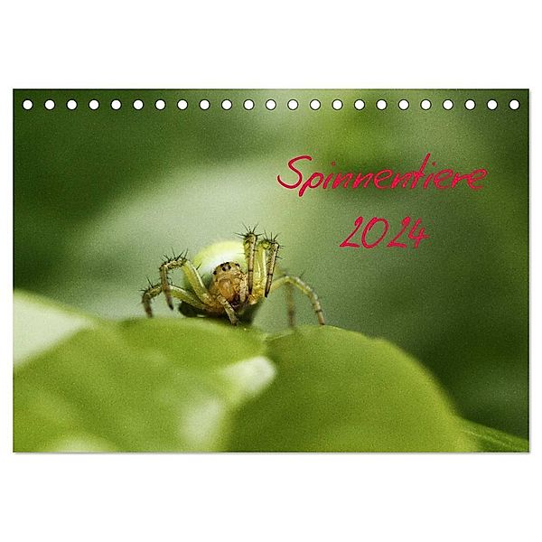 Spinnentiere 2024 (Tischkalender 2024 DIN A5 quer), CALVENDO Monatskalender, Hernegger Arnold