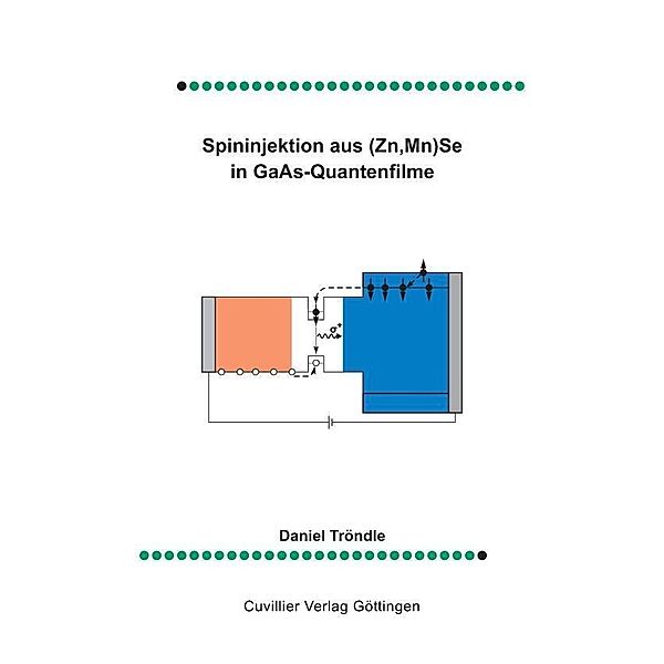 Spinninjektion aus (Zn, Mn) Se in GaAs-Quantenfilme